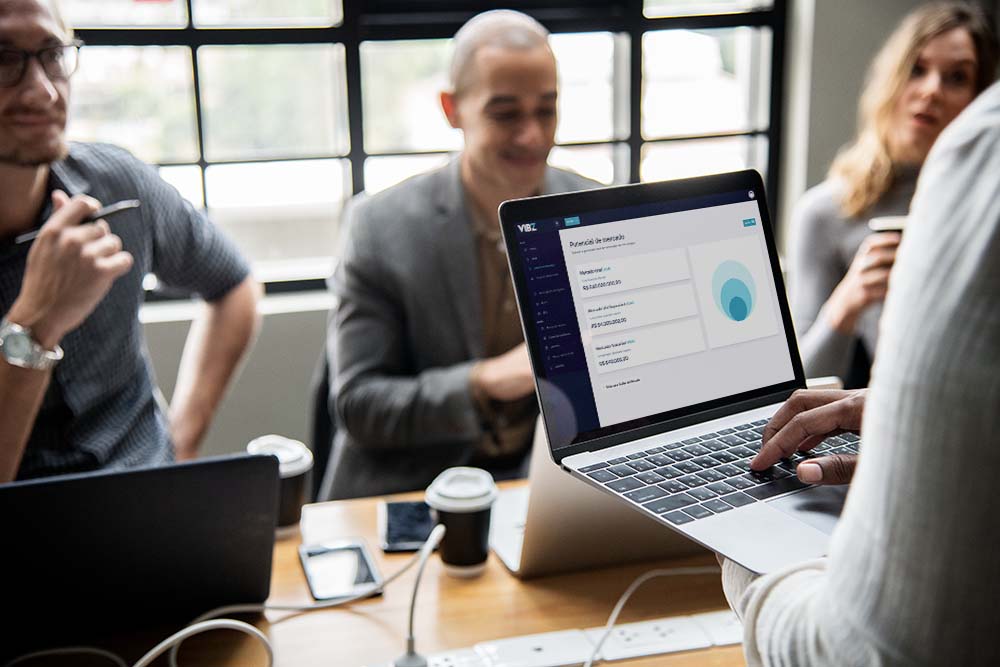 Incubator team working with Vibz in a collaborative meeting