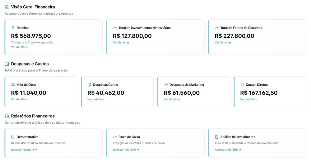Vibz financial overview with revenue, investment, expenses and reports